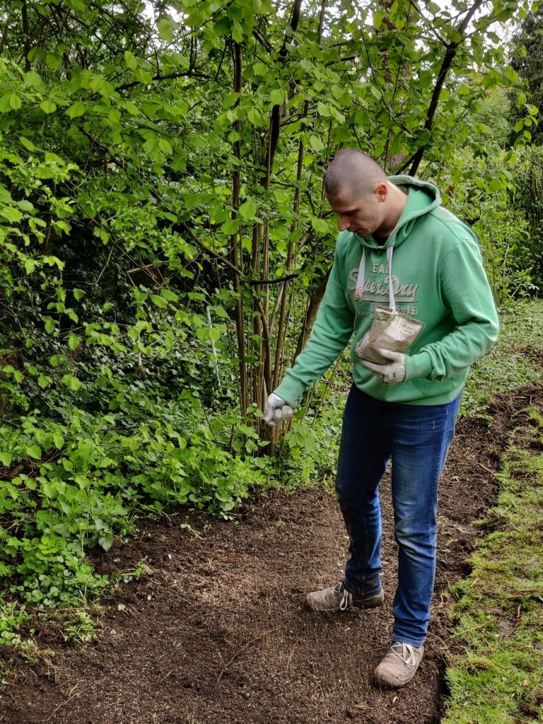 Die Blumenbeete werden geplanzt