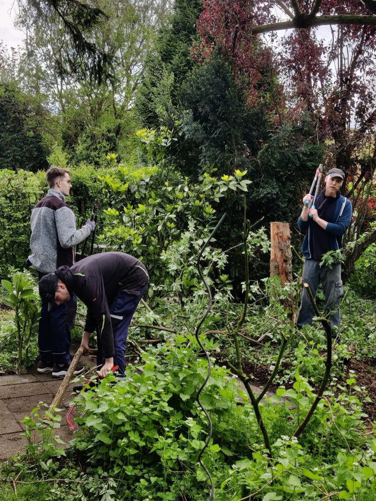 Die Beete werden vom Unkraut befreit